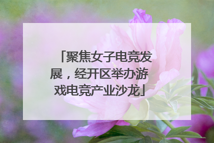 聚焦女子电竞发展，经开区举办游戏电竞产业沙龙